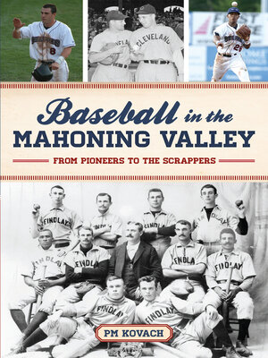 cover image of Baseball in the Mahoning Valley